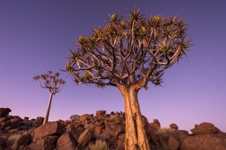 Landscapes and Wildlife in southern Africa

Landschaften und Tiere in Afrikas Sueden